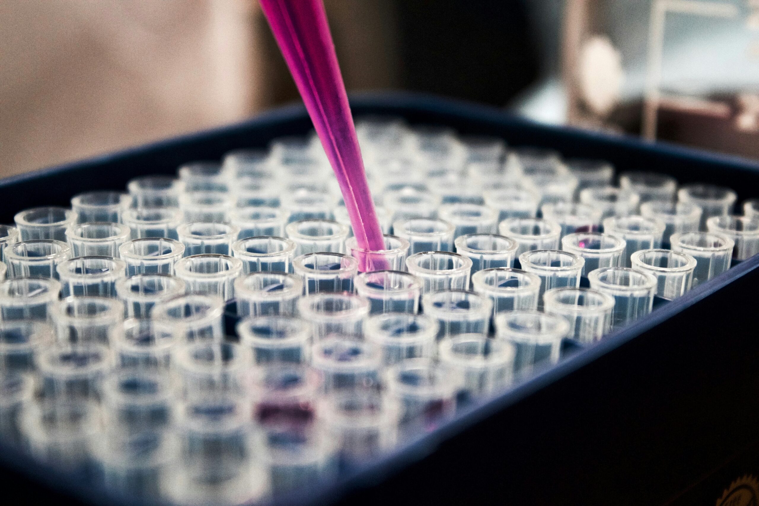 Pinke Flüssigkeit wird mit Pipette in Röhrchen getropft